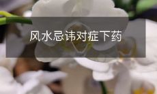 风水忌讳对症下药