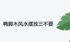 鸭脚木风水摆放三不要