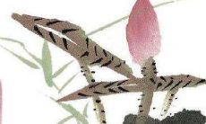 生肖运势天天看:2022年11月10日特吉生肖有哪些