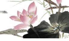 2022年属羊人11月事业贵人方位 时来运转硕果累累