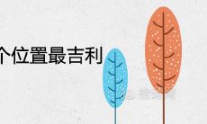 龙竹摆放家里哪个位置最吉利旺运