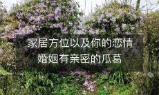 家居方位以及你的恋情婚姻有亲密的瓜葛