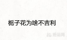 栀子花为啥不吉利 有哪些风水寓意象征