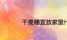 干麦穗宜放家里什么地方最好旺财