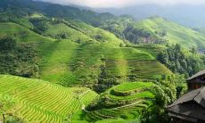 属鼠人吉凶方位 属鼠人的风水吉凶方位