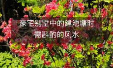 豪宅别墅中的建池塘时需斟酌的风水