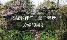 揭秘致使你一辈子奔走劳碌的风水