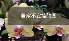 居家不宜挂的图
