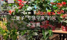 让妻子“专情守家”的风水宝典