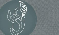 每个人都会遇到33岁双劫吗 怎么解