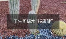 卫生间储水“损康健”