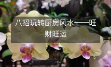 八招玩转厨房风水――旺财旺运