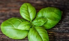 全国姓氏排名2022新版第一