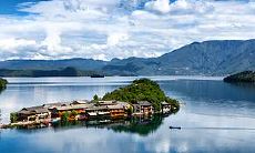 兰花寓意招财吉祥合适放在房间里吗