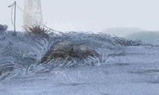 家居摆放风水的五大忌讳