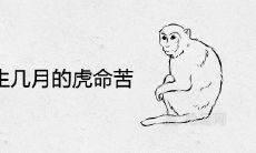 属猴避开生几月的虎命苦不吉利