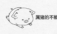 属猪的不能养什么植物