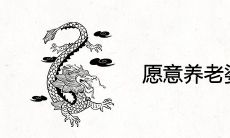 愿意养老婆的生肖男