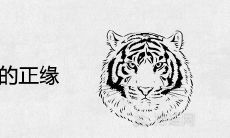 1986年属虎的正缘出现在哪一年