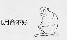 04年属猴几月命不好 一生命运如何