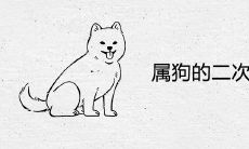 属狗的二次婚姻厉害是真的吗