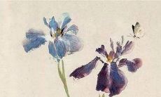 2022年12月中生肖属狗有桃花运吗 缘分已至好好把握