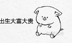 属猪人几点出生必定大富大贵是上等命