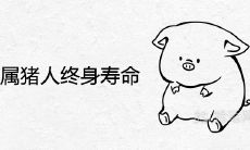 1947年属猪人终身寿命活多少岁