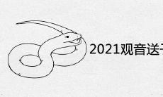 2021年观音送子生双胞胎生肖