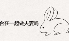 属兔和属鸡适合在一起做夫妻吗