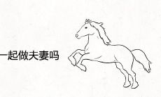 属兔和属马适合在一起做夫妻吗