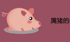 属猪的桃花劫是谁