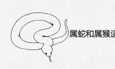 属蛇和属猴适合在一起做夫妻吗