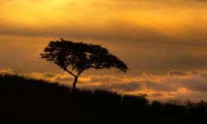 十恶大败反为富贵是什么意思