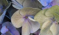 80后曾用经典网名大全