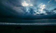 属羊亥时出生的人命运怎么样