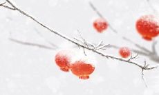 测你未来半年是美梦成真还是噩梦成真