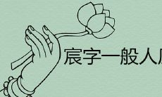 宸字一般人压不住吗 属猪带宸字的名字哪些寓意好