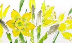 结婚婚纱照提前多久拍 拍婚纱照注意什么