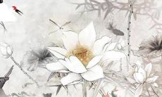 正常结婚戒指多少钱 考虑价格与材质品牌