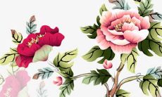 送彩礼要买哪八样东西 寓意美好生活富裕