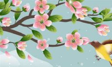 新娘结婚哭了寓意着什么 传统婚嫁习俗哭嫁