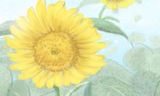 分手后如何报复巨蟹男