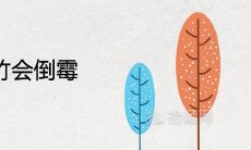 为什么养文竹会倒霉 风水寓意不吉利吗