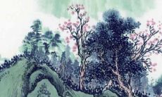 第一次上门婆婆没给红包 探究其中的原因