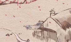 胡洛瑜 阳台放洗衣机有何讲究