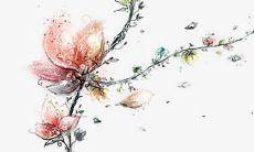 见男方家长要不要和自己父母说一下 人生大事坦然对待