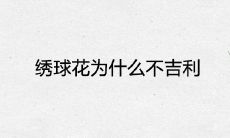 绣球花为什么不吉利 有哪些风水寓意