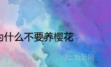 家里为什么不要养樱花