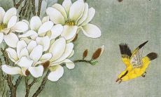 古代六礼的内容是什么 属于历史文化传承